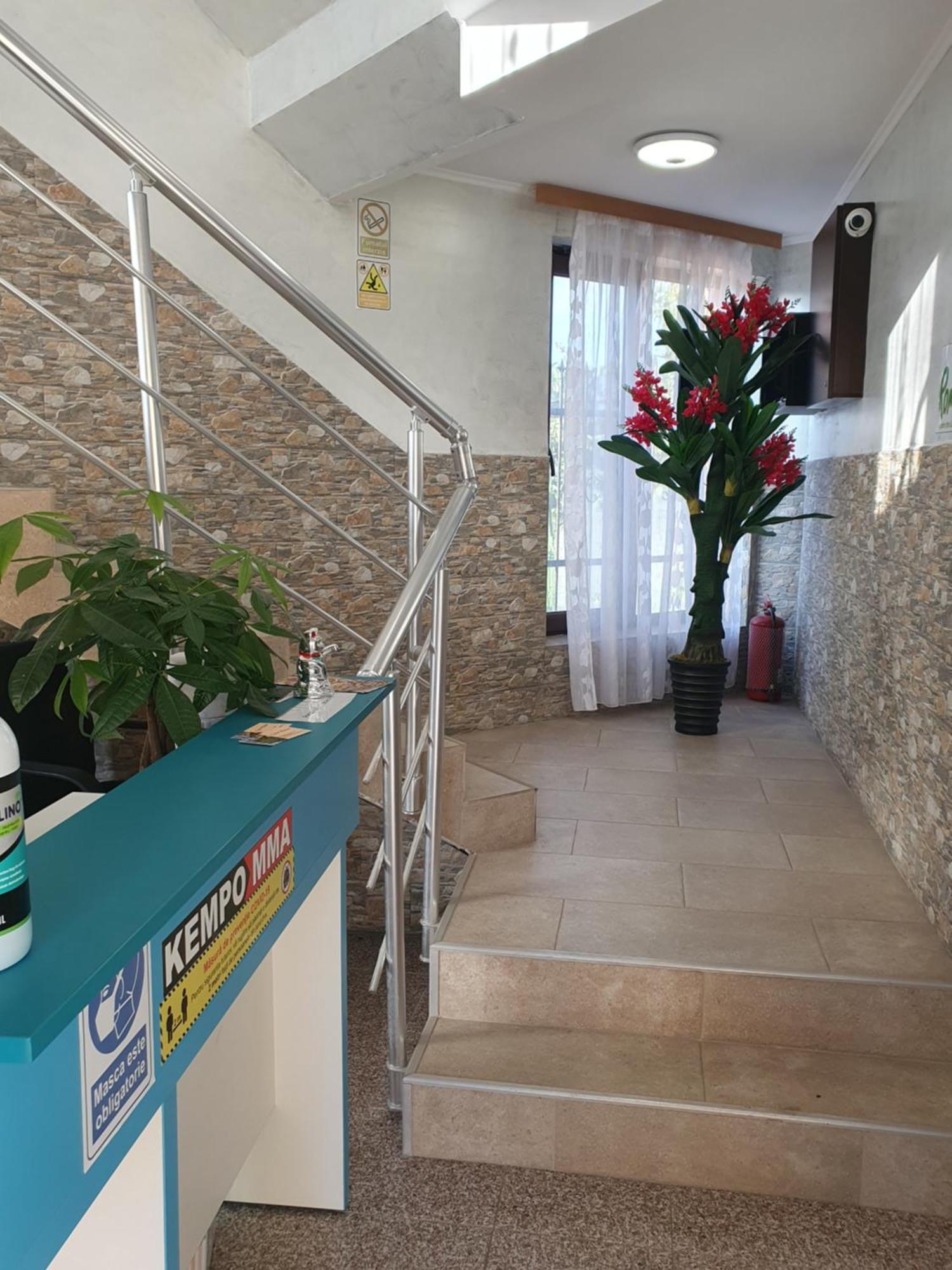 Casa Roua Pensiune *